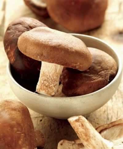 ������Ѽ���ʳ������