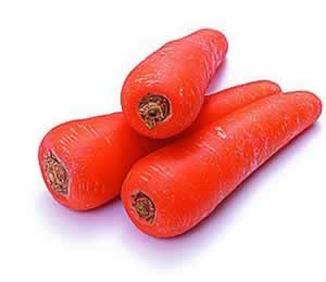 ������Ѽ���ʳ������