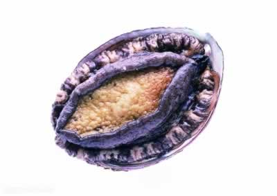 С��̽�꣺����԰�뻨԰����ʳ���̵�