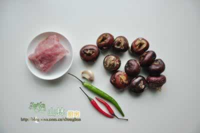 ݩ������˿������