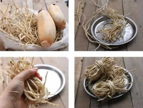 ��ź�۶���������������