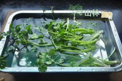 ������˵�����