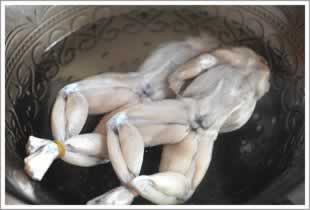 ���ǿ��ţ�ܵ�����