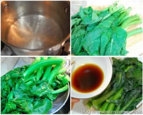 ���Ʋ��ĵ�����