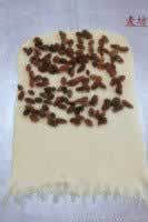 ��ķ�������������