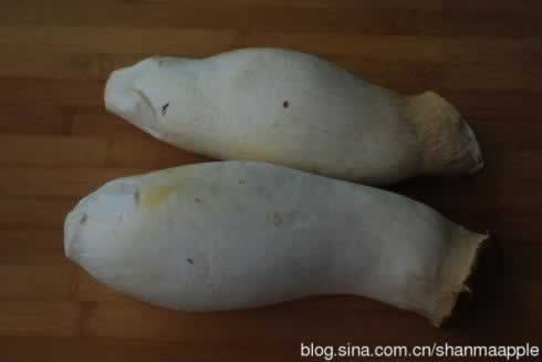 ����ӱ���������