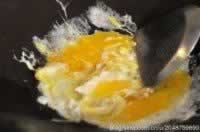 ����Ϻ��«�񳴺ӷ۵�����