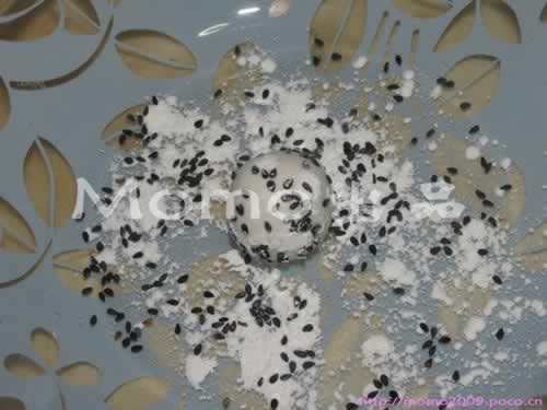 ֥���ɿ���Ŵ���ٵ�����