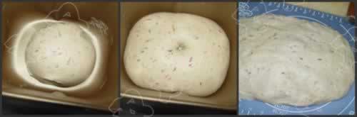 玫瑰花面包的做法