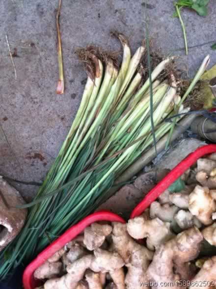 ����߲�ţβ�ҵ�����