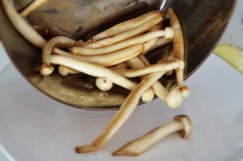 ���⺣�ʹ�����ţ������