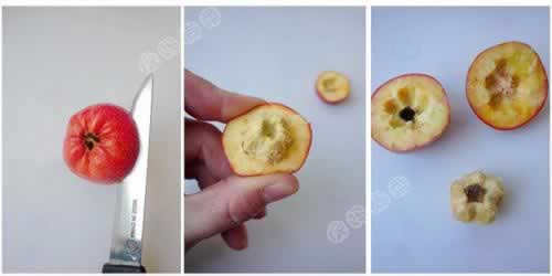 �����Ǻ�«������