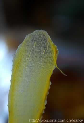 ����ˮ��Ƭ������