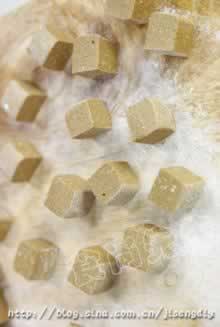 ����ŷʽ������ӵ�����