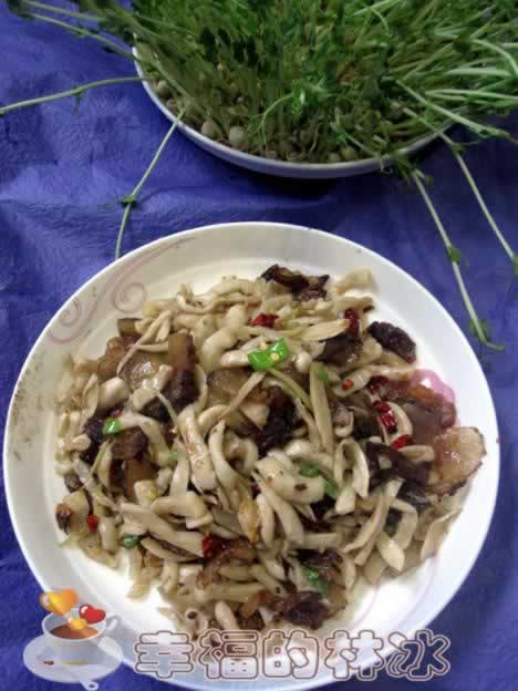 ����ͷ�⳴�ܲ��ɵ�����