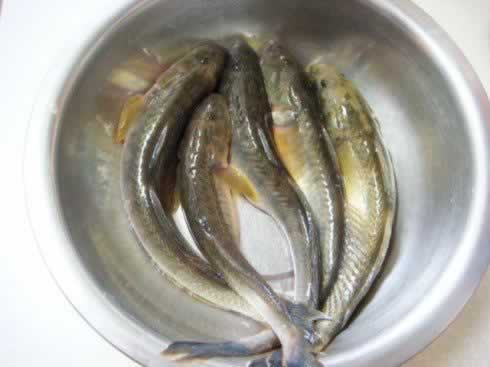 �����������ӵ�����