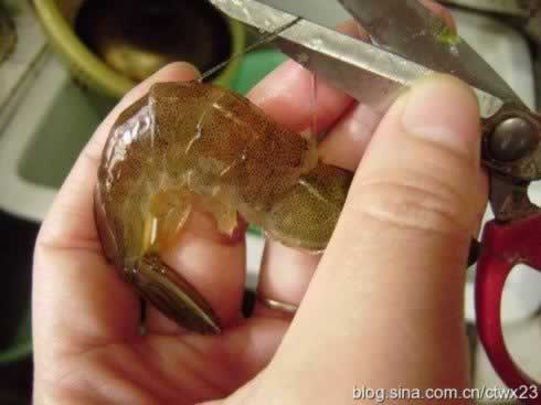 原味盐灼虾的做法