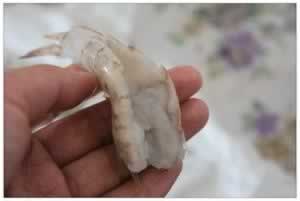 õ���βϺ������