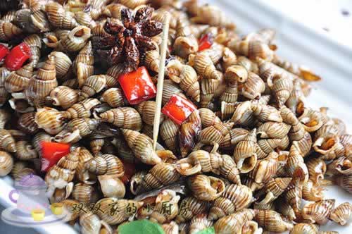 酱爆小海螺的做法