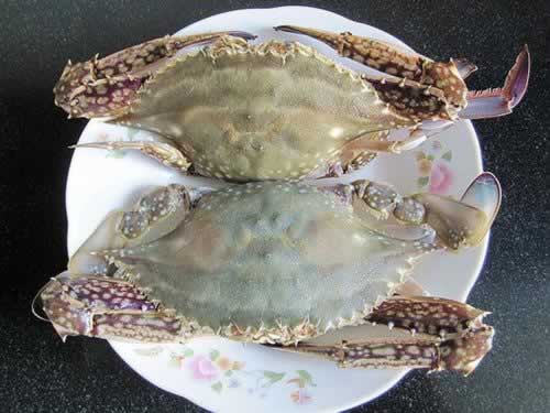 ����з����������