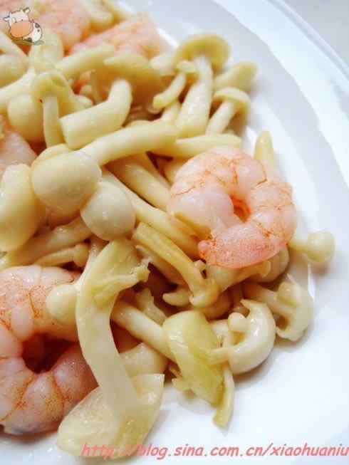 ������Ϻ�ʵ�����