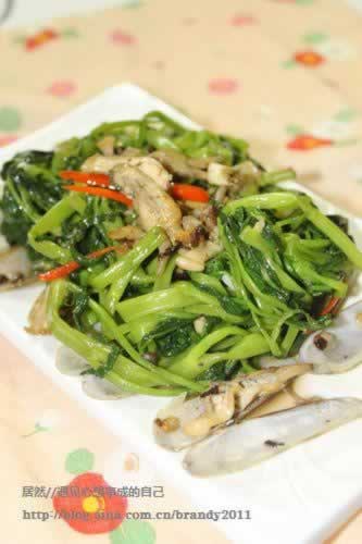 ������¶��ͨ�˵�����