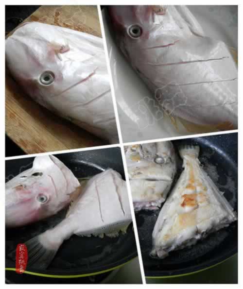 ����Ƥ�������