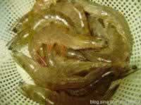 ���㽷��Ϻ������