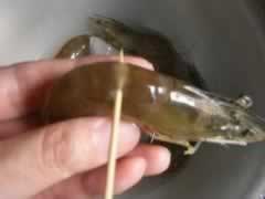 �ɹ���ΧϺ������