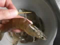 干锅基围虾的做法