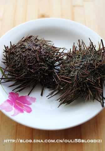 ����ˮ��������������