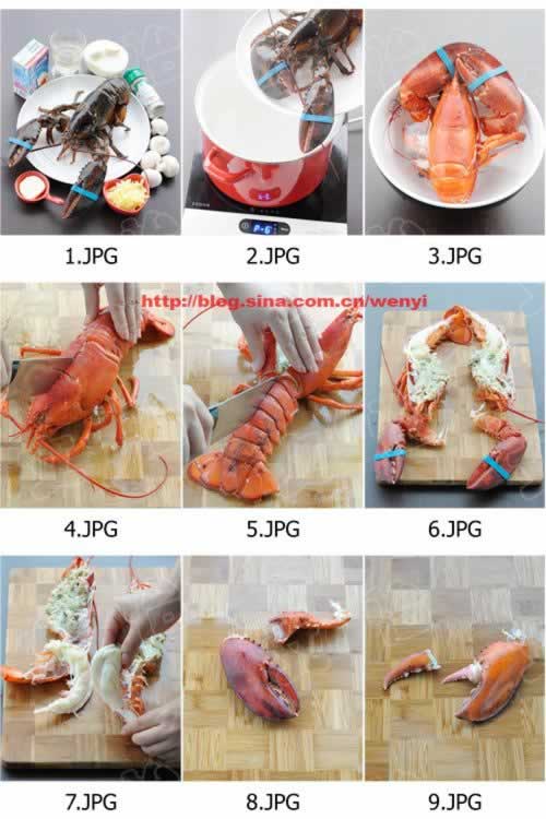 ����֥ʿ�h��Ϻ������