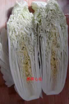 ˬ�ຣ�ذײ��ĵ�����