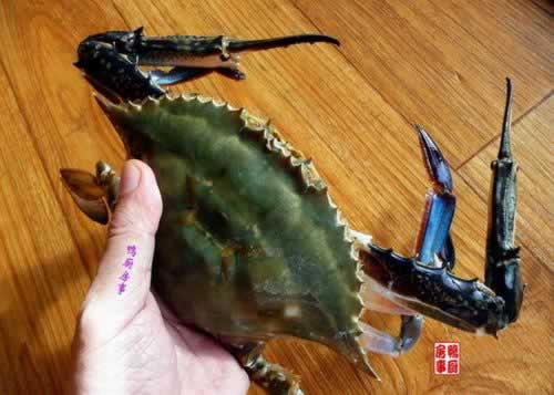 з���˿�ҵ�����