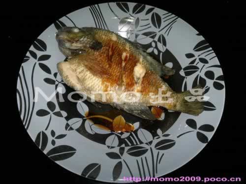 ���̫���������