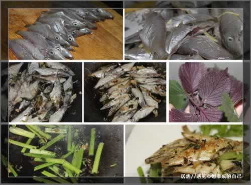 紫苏香芹剥皮牛的做法