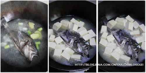 ���z�㶹����VS���պ��z�������