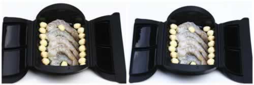 ̩������Ϻ���ӵ�����