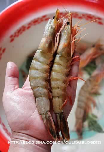 �����Ϻ������