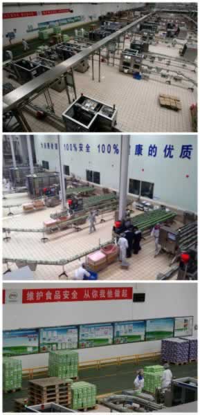 ��֤ţ���������� ������ʳ΢�����˻Ƹ���