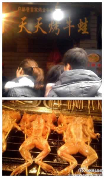 ΢���������� ���ޱ������������ʳ