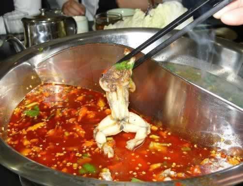 ��ſ�ر���ʳ ���޽��Ǹ���������