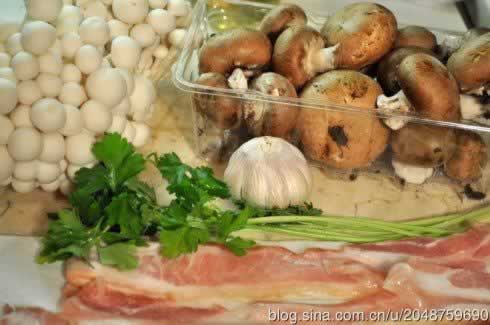 ˫�����ŵ�����