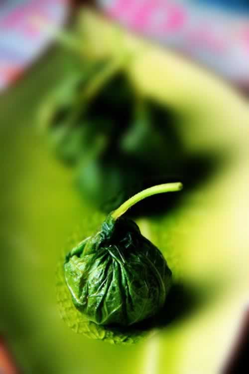 ��ʽ���հ���������