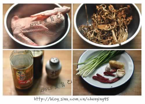 ��������Ѽ������