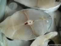 ������ˬѬ���������