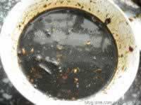 ������ˬѬ���������