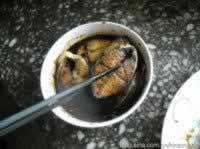 ������ˬѬ���������