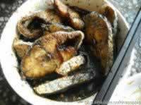 ������ˬѬ���������