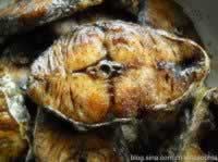 ������ˬѬ���������